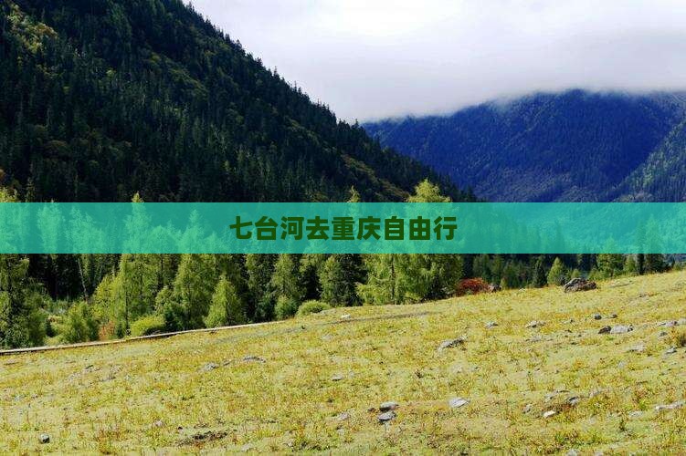 七台河去重庆自由行