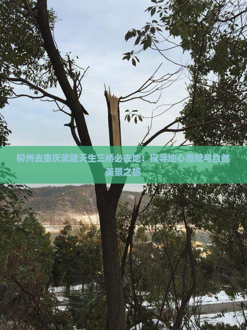 柳州去重庆武隆天生三桥必去地：探寻地心奇观与自然美景之旅