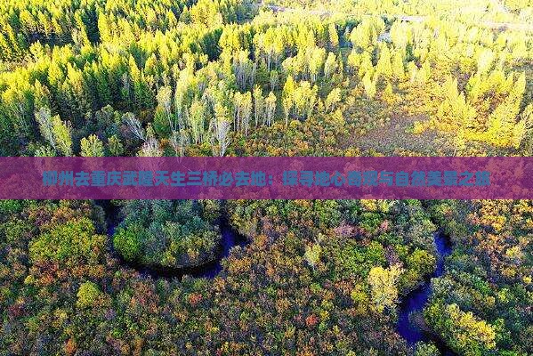 柳州去重庆武隆天生三桥必去地：探寻地心奇观与自然美景之旅