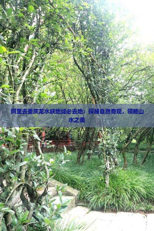 阿里去重庆龙水峡地缝必去地：探秘自然奇观，领略山水之美