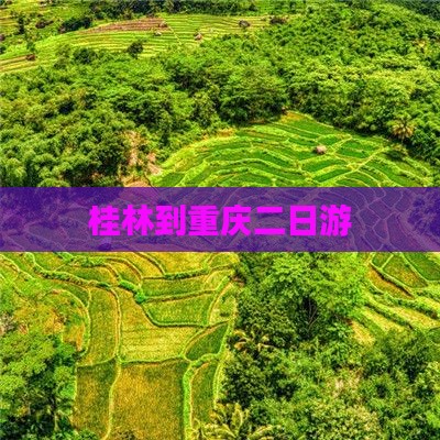 桂林到重庆二日游