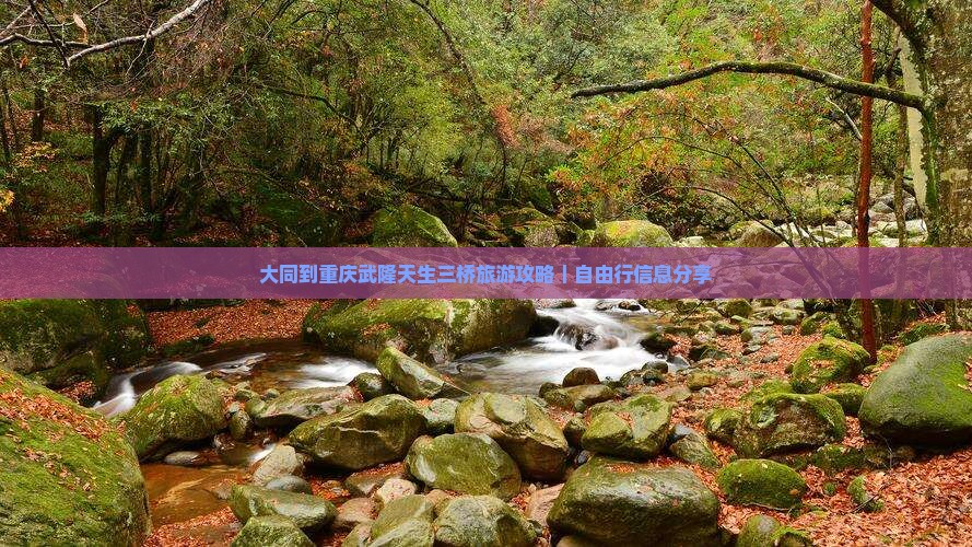 大同到重庆武隆天生三桥旅游攻略｜自由行信息分享