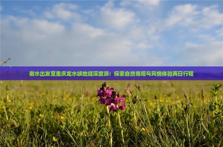 衡水出发至重庆龙水峡地缝深度游：探索自然奇观与风情体验两日行程