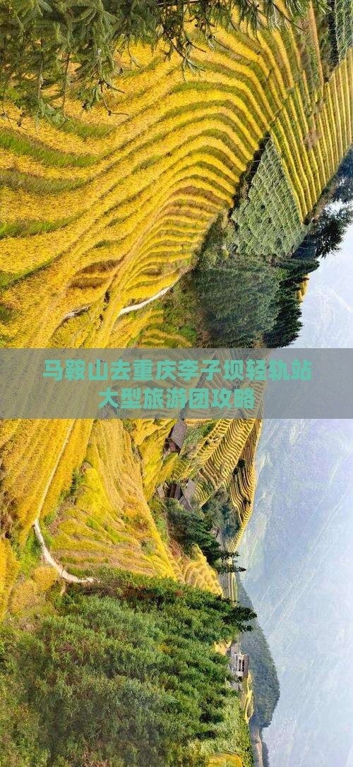 马鞍山去重庆李子坝轻轨站大型旅游团攻略