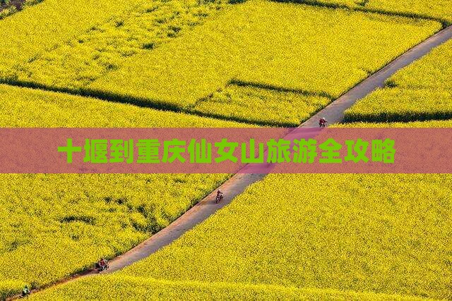 十堰到重庆仙女山旅游全攻略