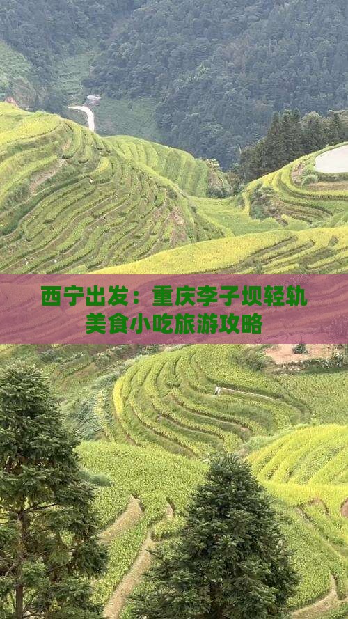 西宁出发：重庆李子坝轻轨美食小吃旅游攻略