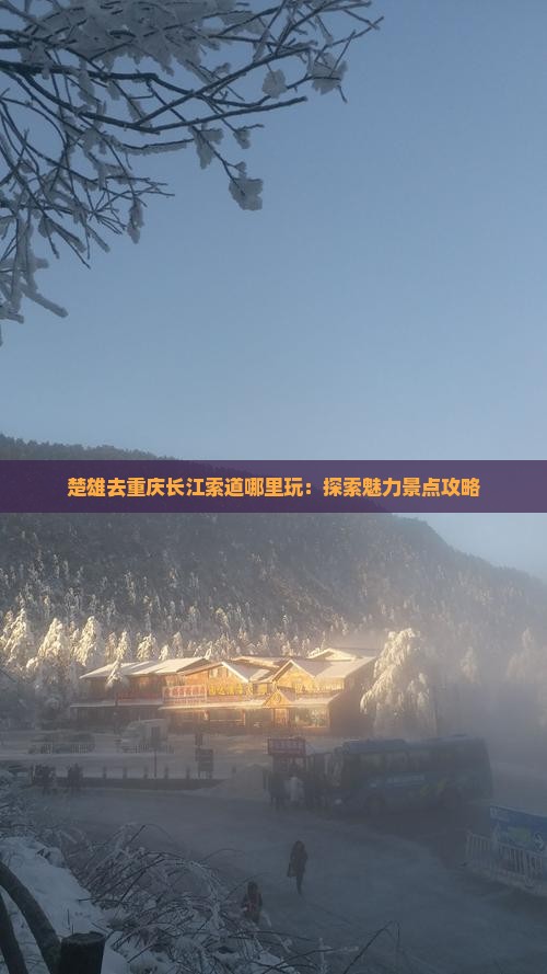 楚雄去重庆长江索道哪里玩：探索魅力景点攻略