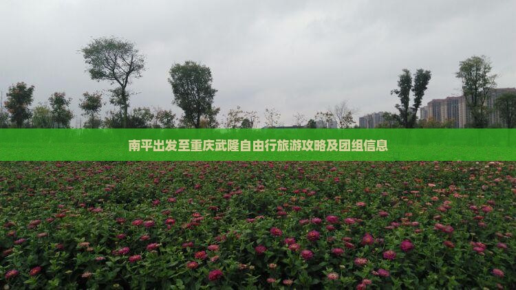 南平出发至重庆武隆自由行旅游攻略及团组信息
