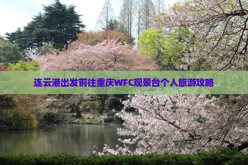连云港出发前往重庆WFC观景台个人旅游攻略
