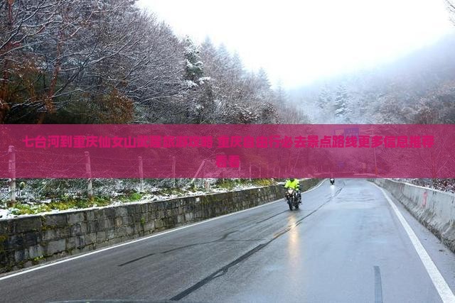 七台河到重庆仙女山武隆旅游攻略 重庆自由行必去景点路线更多信息推荐看看