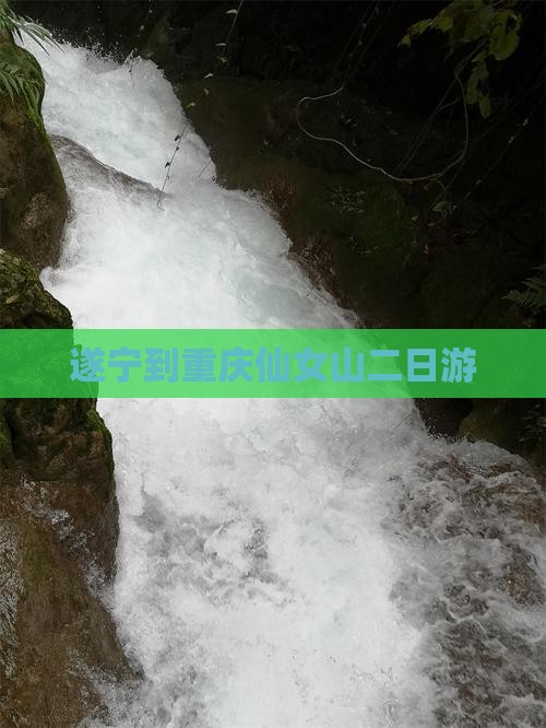 遂宁到重庆仙女山二日游