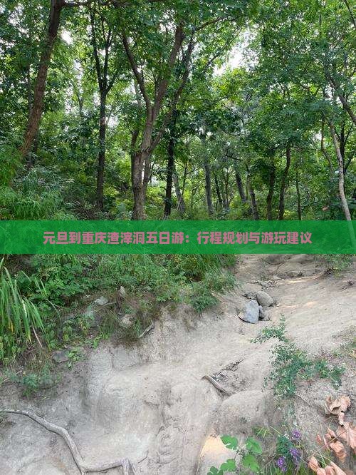 元旦到重庆渣滓洞五日游：行程规划与游玩建议
