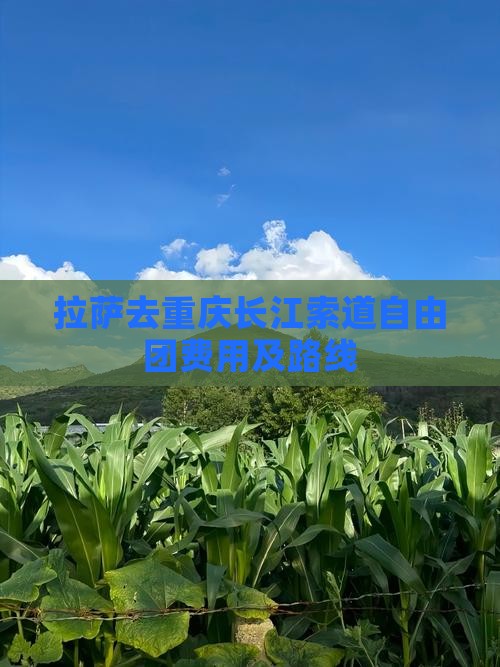 拉萨去重庆长江索道自由团费用及路线