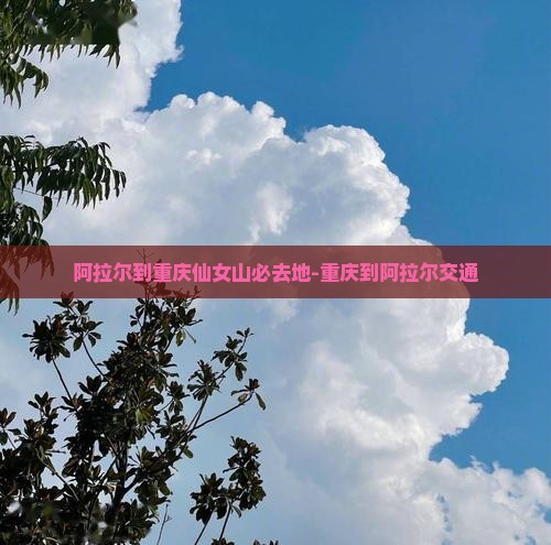 阿拉尔到重庆仙女山必去地-重庆到阿拉尔交通