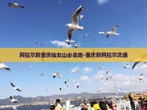 阿拉尔到重庆仙女山必去地-重庆到阿拉尔交通
