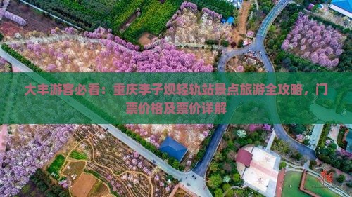 大丰游客必看：重庆李子坝轻轨站景点旅游全攻略，门票价格及票价详解