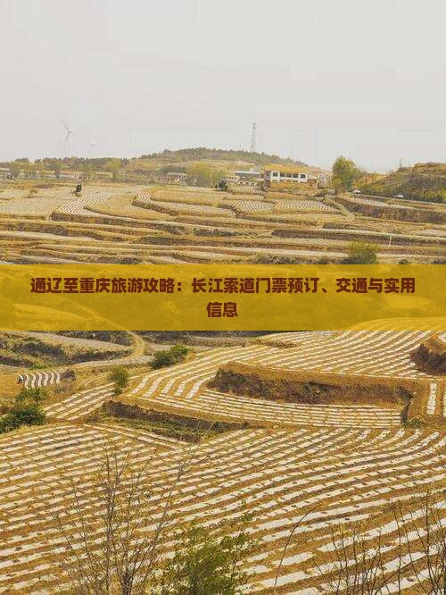 通辽至重庆旅游攻略：长江索道门票预订、交通与实用信息