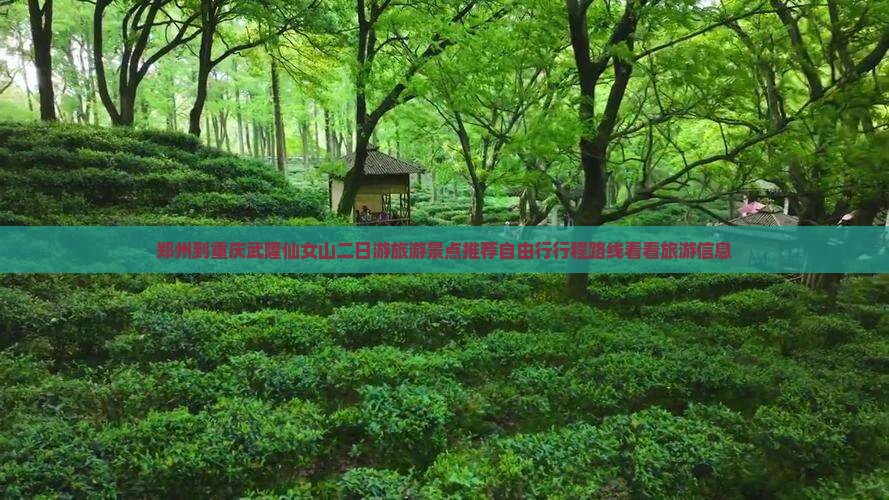 郑州到重庆武隆仙女山二日游旅游景点推荐自由行行程路线看看旅游信息