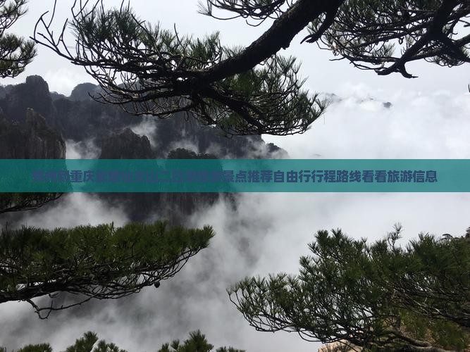 郑州到重庆武隆仙女山二日游旅游景点推荐自由行行程路线看看旅游信息