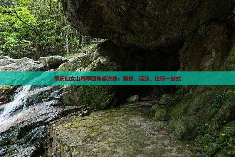 重庆仙女山春季团体游攻略：美景、活动、住宿一站式