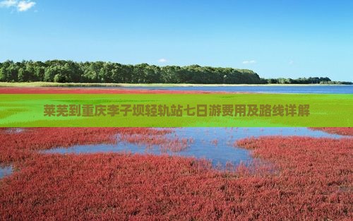 莱芜到重庆李子坝轻轨站七日游费用及路线详解