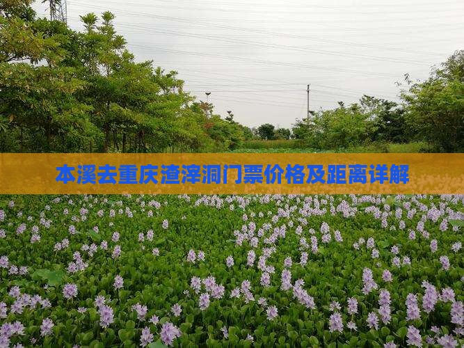 本溪去重庆渣滓洞门票价格及距离详解