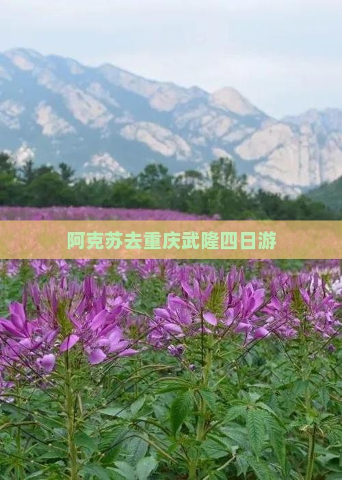 阿克苏去重庆武隆四日游