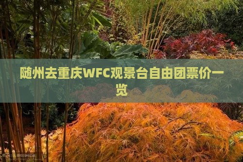 随州去重庆WFC观景台自由团票价一览