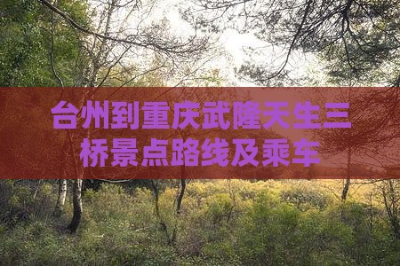 台州到重庆武隆天生三桥景点路线及乘车