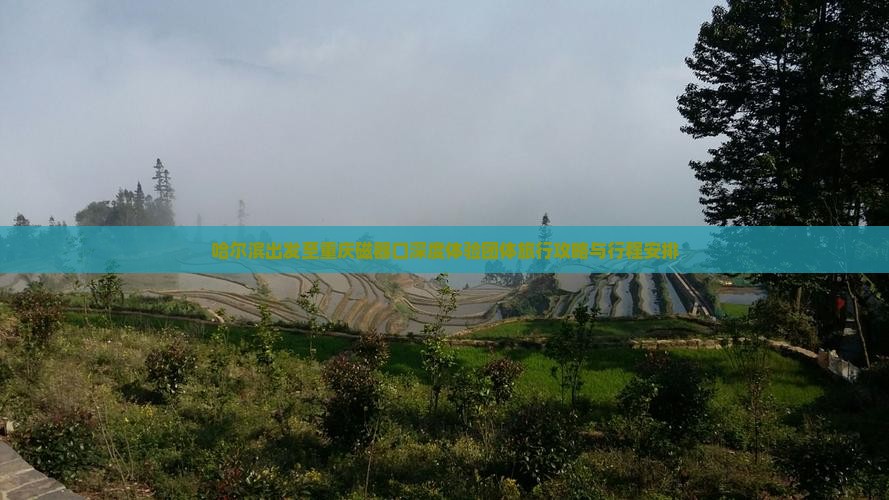 哈尔滨出发至重庆磁器口深度体验团体旅行攻略与行程安排