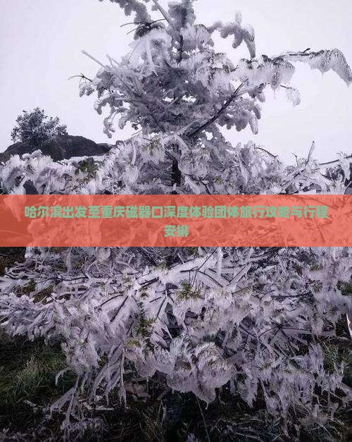 哈尔滨出发至重庆磁器口深度体验团体旅行攻略与行程安排
