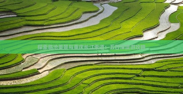 探索临沧美景与重庆长江索道：五日深度游攻略