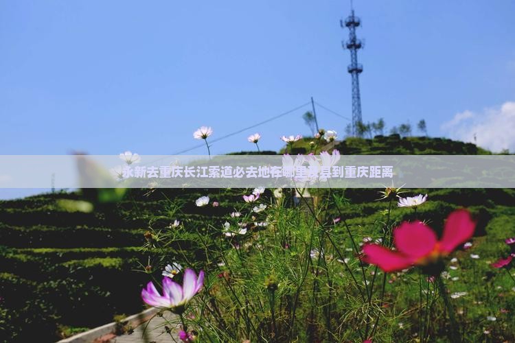 永新去重庆长江索道必去地在哪里及县到重庆距离