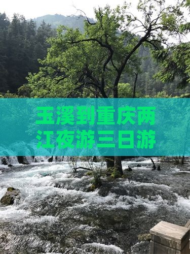 玉溪到重庆两江夜游三日游攻略路线及费用