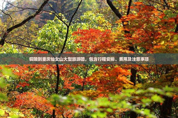 铜陵到重庆仙女山大型旅游团，包含行程安排、费用及注意事项