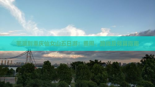 芜湖到重庆仙女山五日游：费用、路线及预算指南