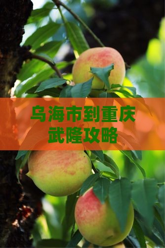 乌海市到重庆武隆攻略