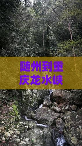 随州到重庆龙水峡地缝旅游全攻略