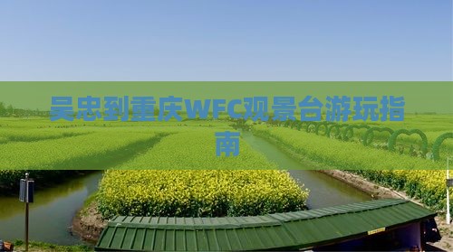 吴忠到重庆WFC观景台游玩指南