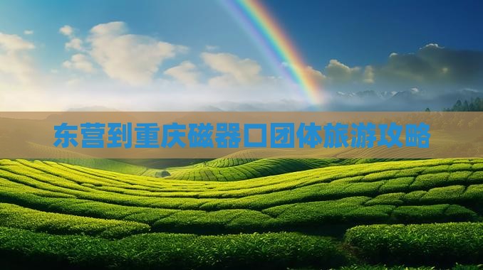 东营到重庆磁器口团体旅游攻略