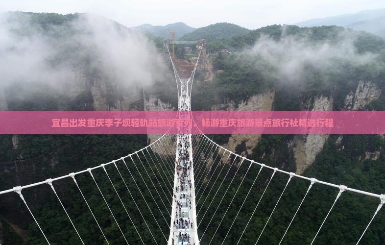 宜昌出发重庆李子坝轻轨站旅游专列，畅游重庆旅游景点旅行社精选行程