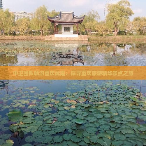 中卫团队畅游重庆武隆：探寻重庆旅游精华景点之旅