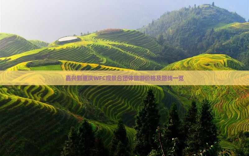 嘉兴到重庆WFC观景台团体旅游价格及路线一览