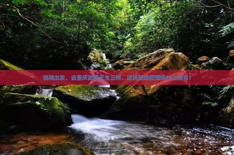 临猗去重庆武隆天生三桥哪里玩
