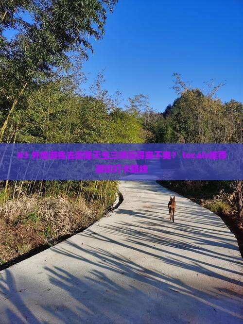拉萨去重庆武隆天生三桥哪里玩