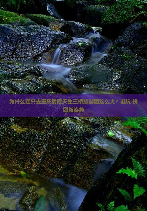 嘉兴去重庆武隆天生三桥大型旅游团