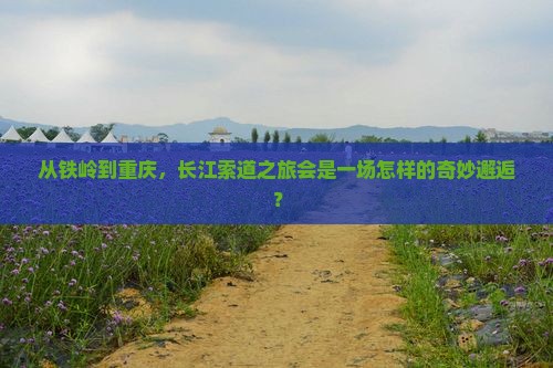铁岭去重庆长江索道自由团
