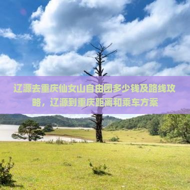 辽源去重庆仙女山自由团