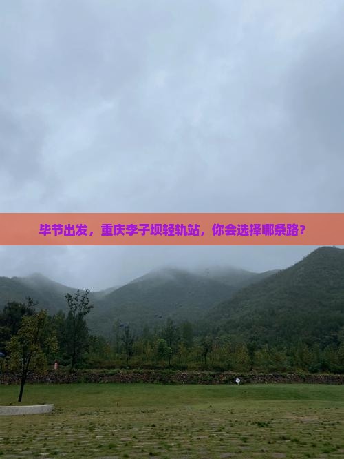 毕节到重庆李子坝轻轨站自由行