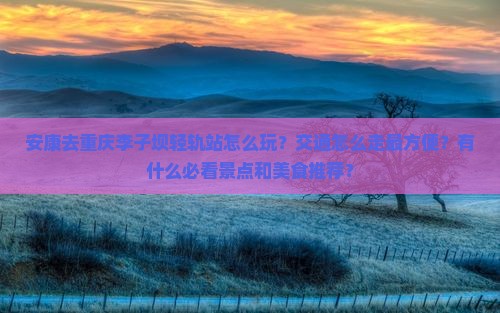 安康去重庆李子坝轻轨站个人游
